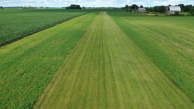 Airstrip on Jamestown Farm