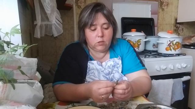 Суп с крапивой и пестиками/Компот из сухофруктов ну и поболтать конечно.