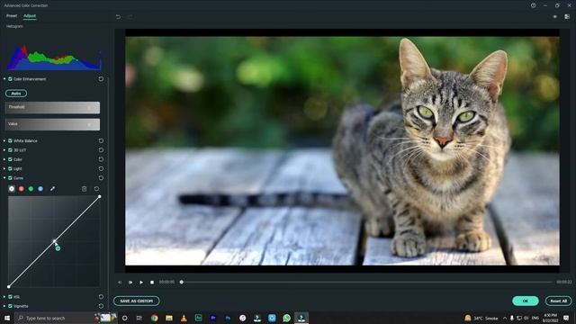 Wondershare Filmora 11.6.3 Free Download. What's new ?