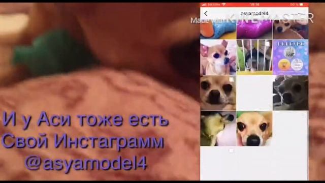 Вечерний влог)))