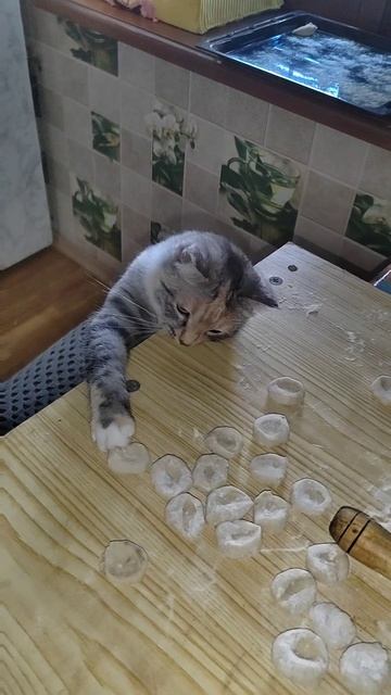 Не пойман, не вор😋😆😆