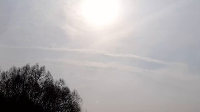 12-03-2025 продолжение утренней прогулки...