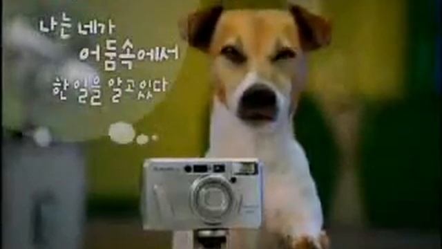 Funny Fuji Film Commercial.wmv