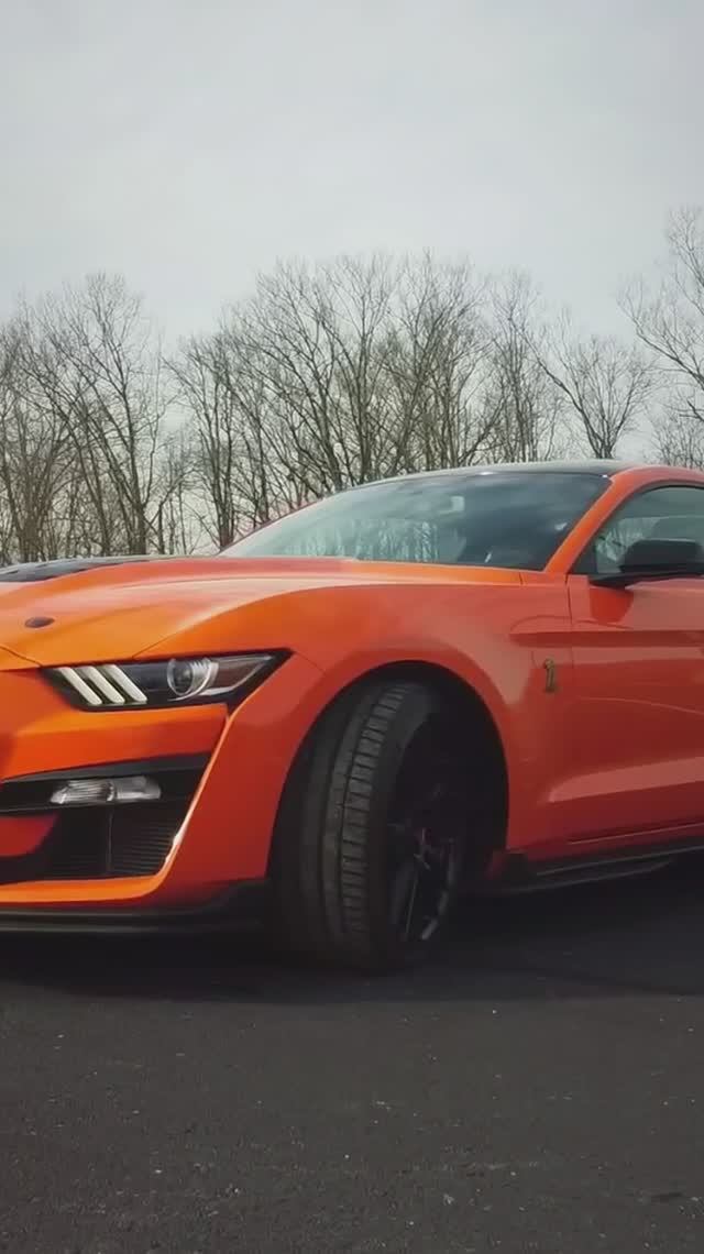 🔥 Ford Mustang Shelby GT500 #fordmustang #mustangshelbygt500 #mustangshelby #mustang #shelbygt500