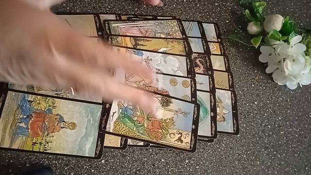 VID_20250312_103509.mp4