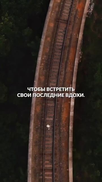 БИЗНЕС ПО НЕМЕЦКИ В СТИЛЕ LR