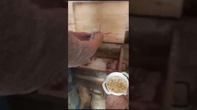 рецепт засолки сала