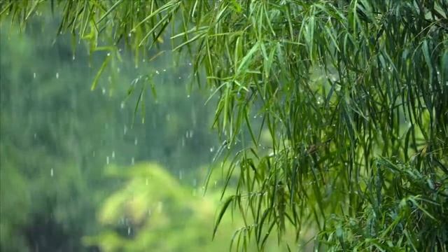 HEAVY RAIN THUNDERSTORM SOUNDS | Rainstorm Sounds For Relaxing, Sleep, Meditation