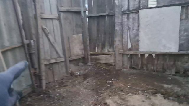 3.