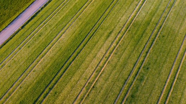 Biosphärenreservat Bliesgau| Cinematic 4K Drone Footage | DJI Mavic Mini | Upscale