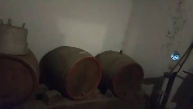 Дом. История длинной в 250лет!!