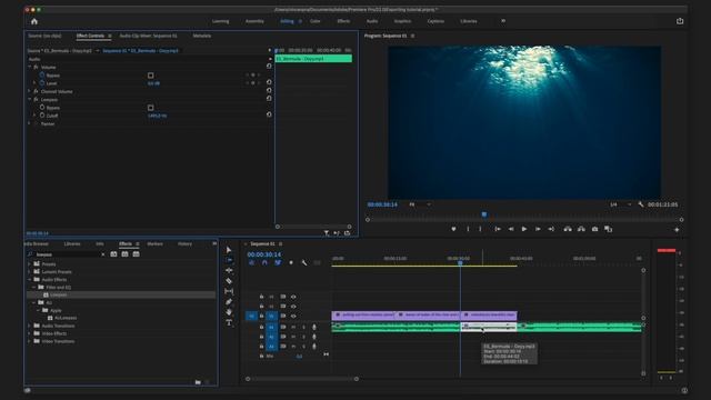 Adobe Premiere Pro 2023 Underwater Audio Effect / Muffled Sound Tutorial