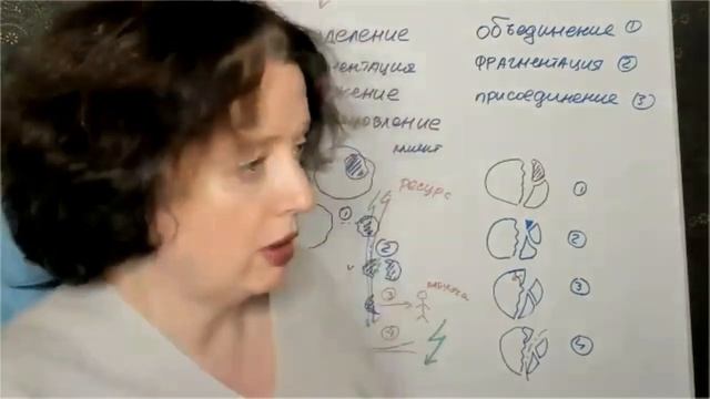 Часть 3. Расстановки онлайн. Технологии и решения. 29.11.2021