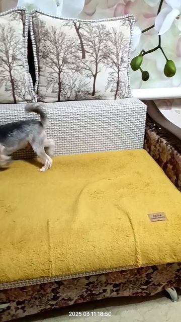 1000262550.mp4