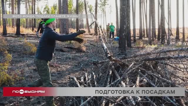 Подконтрольное сжигание сухостоя провели на территории нацпарка у Байкала