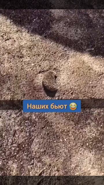 😂