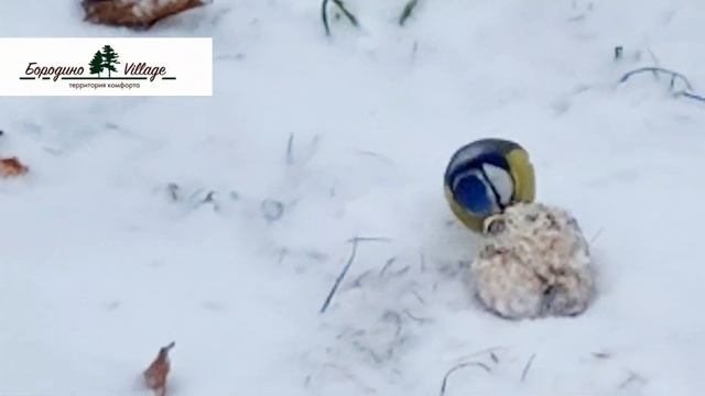 ЕСЛИ БЫ МЫ НАЧИНАЛИ СТРОИТЬ ПОСЁЛОК СНАЧАЛА, ТО...