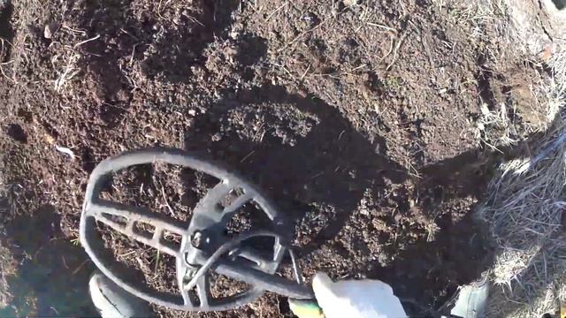 поход коп монет