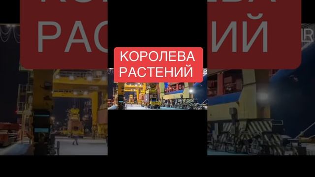 Королева растений