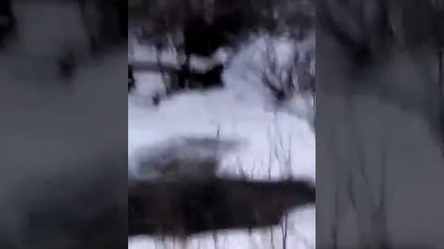 Платина .новоорск.