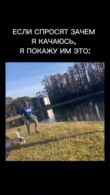 юмор
