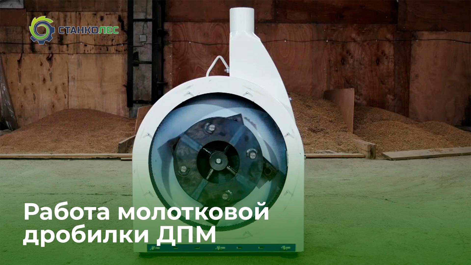 Измельчение конопляного семени на молотковом измельчителе ДПМ 22 /  видеоработа