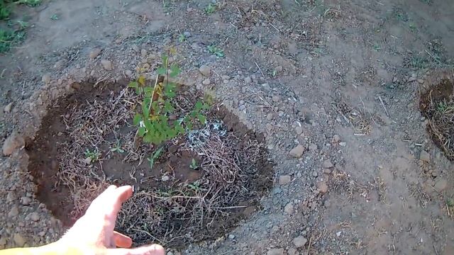Дивиденды от хлама)) Купил лестницу \\ Видеозарисовки из жизни в деревне
