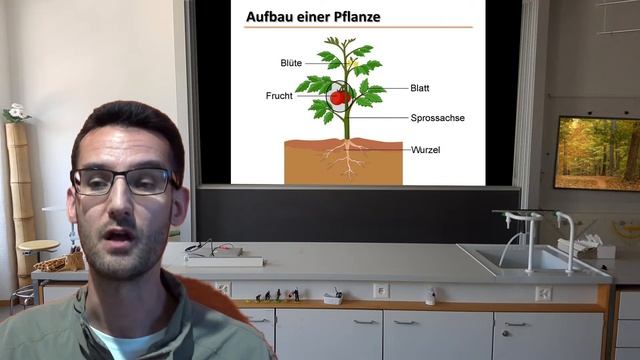 Biologie - Pflanzenphysiologie