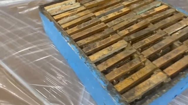 Эффективный старт пчёл весной. Развитие пчелосемей, расширение пасеки.