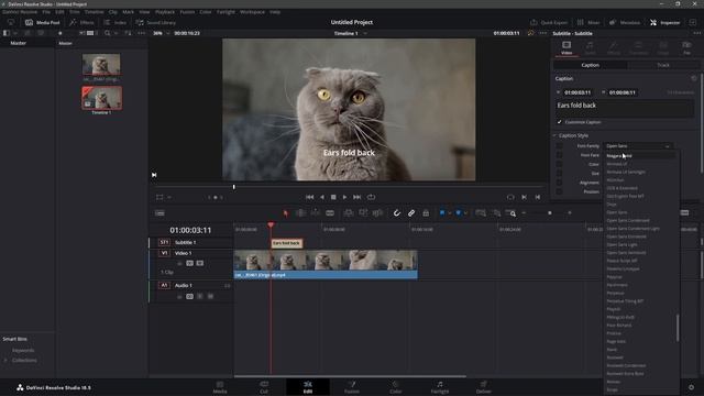 How to Add Subtitles in Davinci Resolve