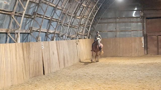 Анна едет на Каспере ППДБ. #equestrian #лошади #pony #каспер #horse