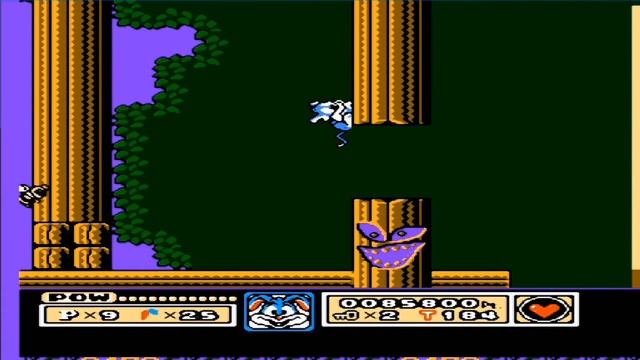 VGF consoles Tiny Toon NES