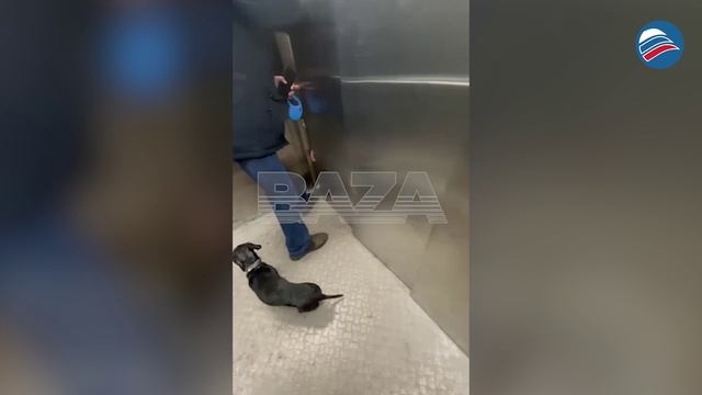 Экстренная ситуация в новостройке: лифт обрушился, но чудом не унес жизни