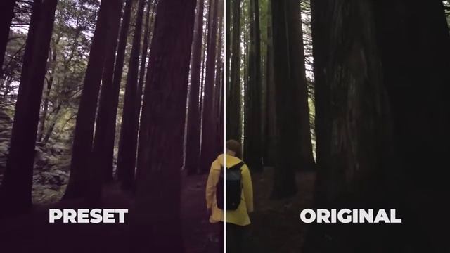 Cinematic Color Presets Premiere Pro Templates