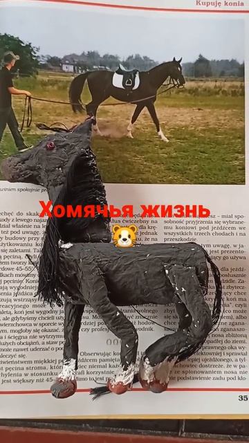 Лошадь из папье-маше по фото (часть 2)