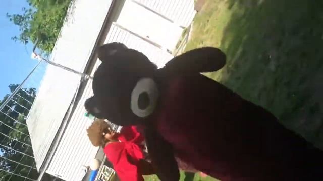 The bear and the grandma doing the Harlem shake