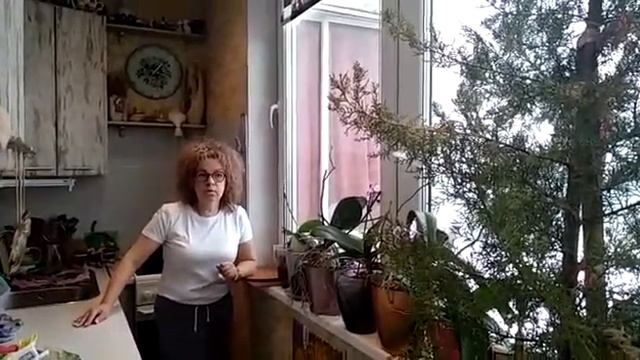 Установка новых окон.