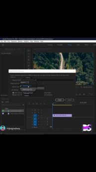 Crop video in premiere Pro|Designsubway