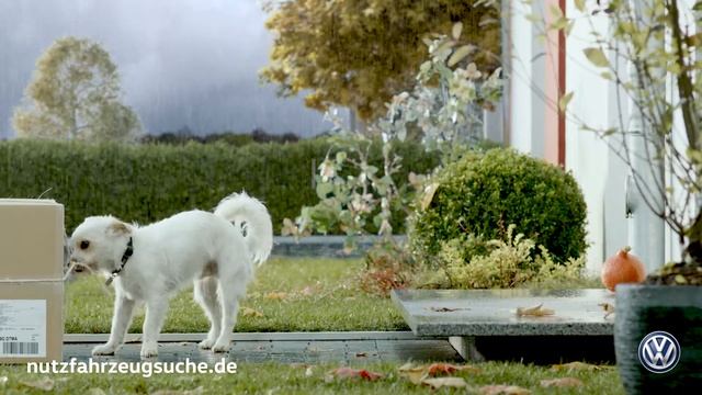 Online gekauft, bequem geliefert – der Online-Shop für junge gebrauchte Volkswagen Nutzfahrzeuge!