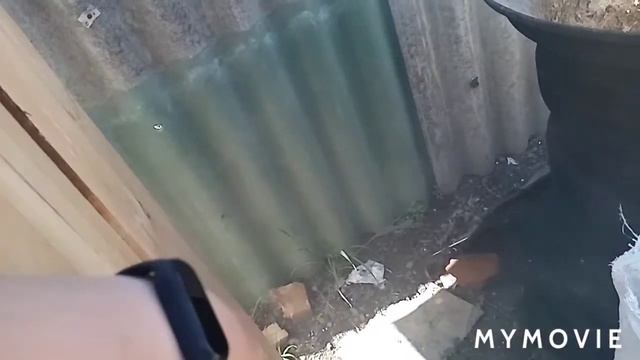 Коптильня своими руками, коптим донского карася.