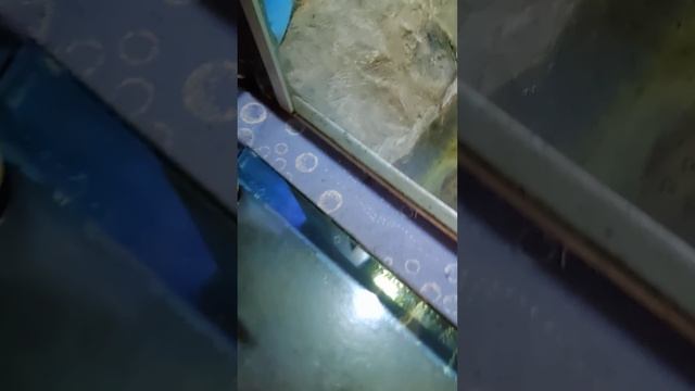 Океанариум Казань