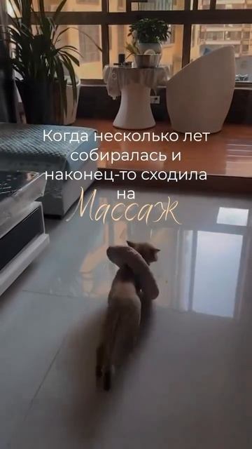 1001117383.mp4
