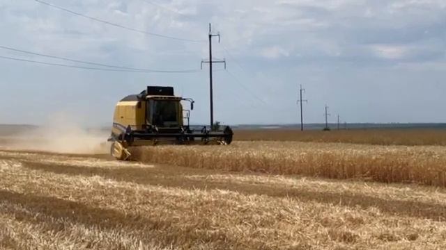 Итоги объезда полей Гагаузии 2023