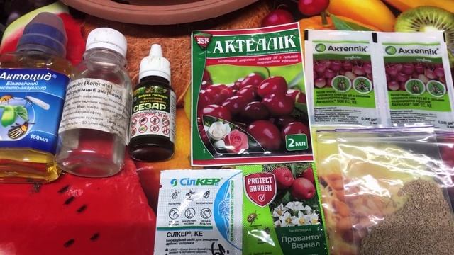ПАУТИННЫЙ КЛЕЩ🪳!    Методы борьбы, ПРЕПАРАТЫ и профилактика