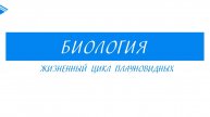 6 класс - Биология - Жизненный цикл плауновидных