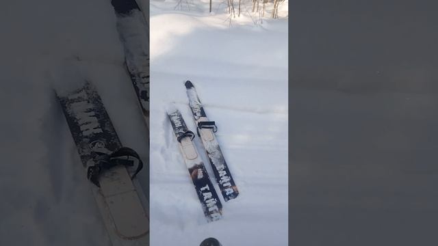 за чагой