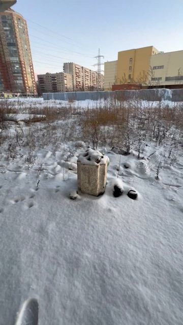 Когда надо урны не будет