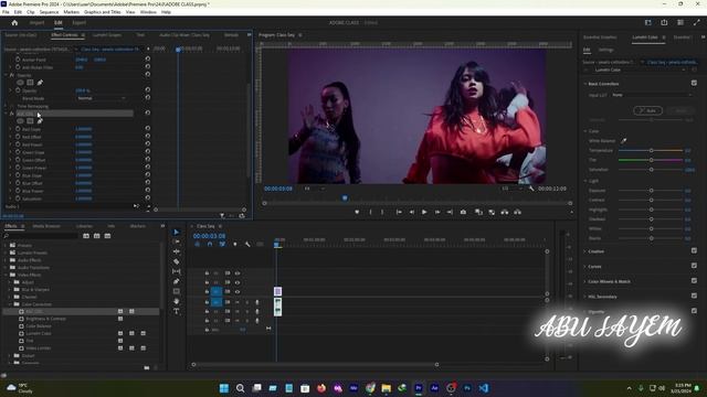 ASC CDL  Video Effect - Adobe premiere pro [Bangla]