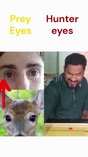 prey eyed white boy vs hunter eyed rashid the carrom king....#fyp #fypシ #explore #explorepage #trend