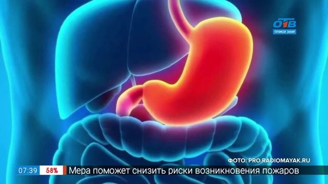Полезные Ешки — Е160 д (ликопин)